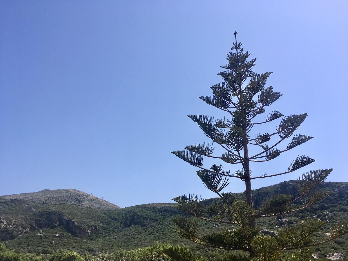 Alegria Kefalonia Katelios Luaran gambar